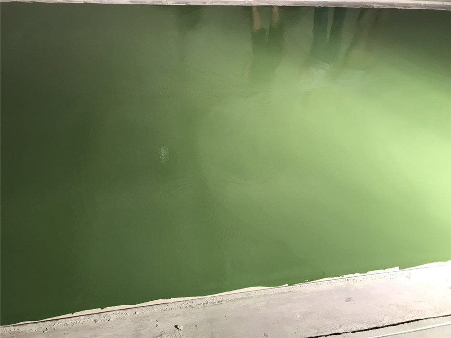 微信圖片_20170622104719