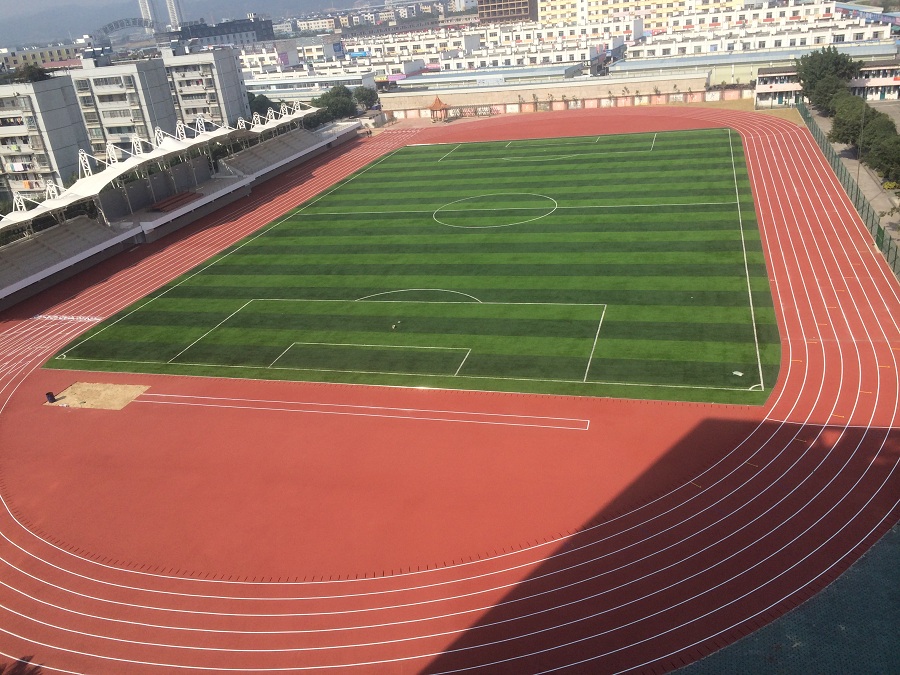 廣西國際商務(wù)學(xué)院 (2)