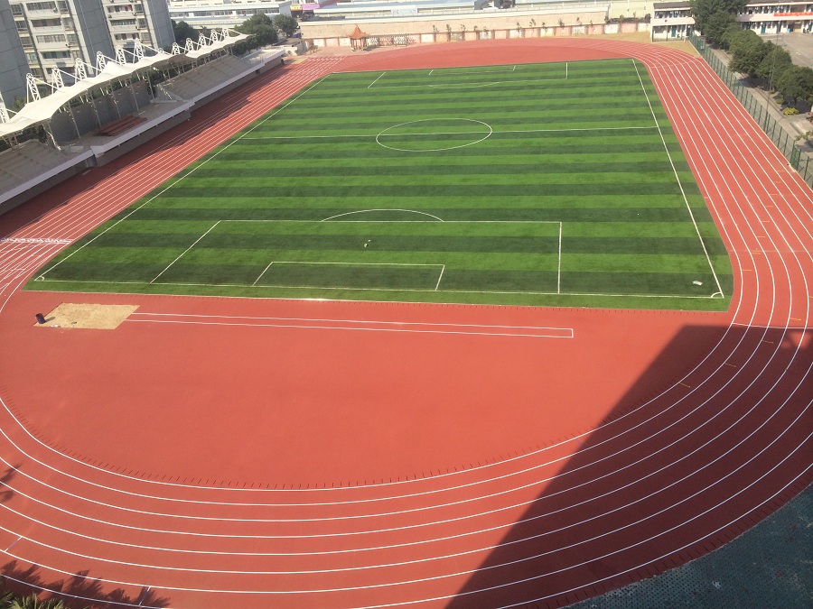 廣西國際商務(wù)學(xué)院 (3)