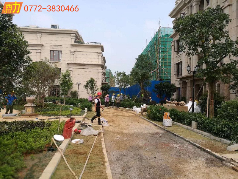 君臨天下施工 (2)